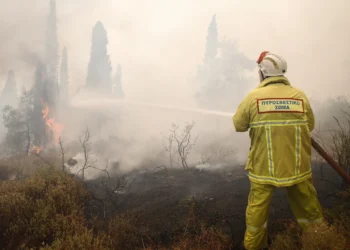 Υψηλός κίνδυνος πυρκαγιάς σήμερα σε Θεσσαλονίκη και Χαλκιδική