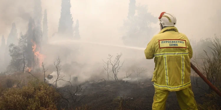 Υψηλός κίνδυνος πυρκαγιάς σήμερα σε Θεσσαλονίκη και Χαλκιδική