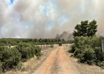 Φωτιά στα Δερβενοχώρια: Νέες αναζωπυρώσεις – Μάχη να μην περάσουν στην Πάρνηθα οι φλόγες