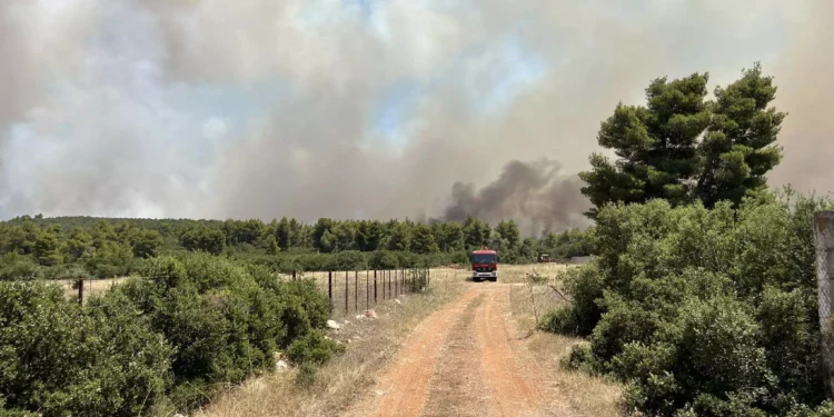 Φωτιά στα Δερβενοχώρια: Νέες αναζωπυρώσεις – Μάχη να μην περάσουν στην Πάρνηθα οι φλόγες