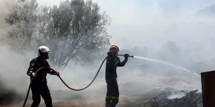 Φωτιά στα Δερβονοχώρια: Προς τη Μαγούλα κινείται το μέτωπο – Ισχυροί άνεμοι στην περιοχή