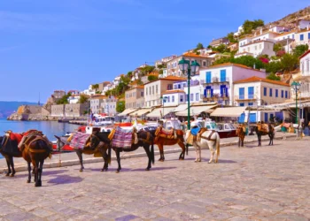 Φιλοζωικά σωματεία: Ανοιχτή επιστολή για την απαγόρευση χρήσης ιπποειδών ως «ταξί»