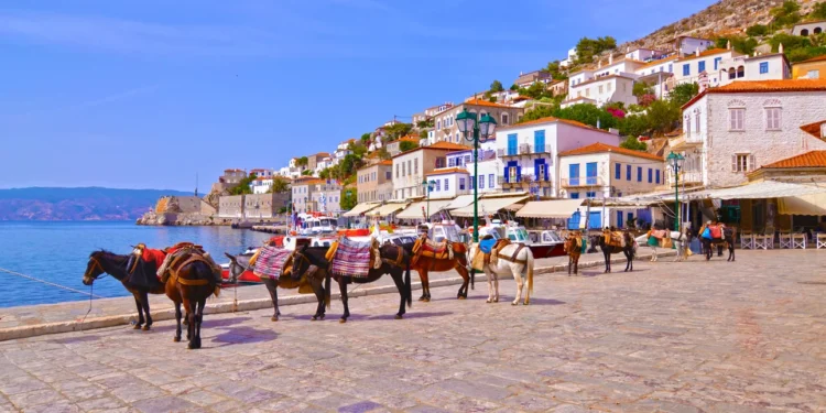 Φιλοζωικά σωματεία: Ανοιχτή επιστολή για την απαγόρευση χρήσης ιπποειδών ως «ταξί»