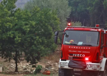 Φωτιά στον Τρίλοφο Καστοριάς: Στο σημείο ισχυρές δυνάμεις της Πυροσβεστικής