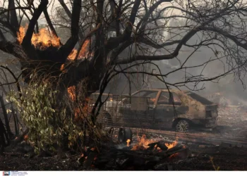 Φωτιά στη Μάνδρα: Αναζωπύρωση στην περιοχή Μελετάκι – Μάχη με τις φλόγες σε Δερβενοχώρια, Λουτράκι, Μέγαρα