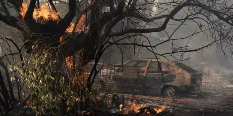 Φωτιά στη Μάνδρα: Αναζωπύρωση στην περιοχή Μελετάκι – Μάχη με τις φλόγες σε Δερβενοχώρια, Λουτράκι, Μέγαρα