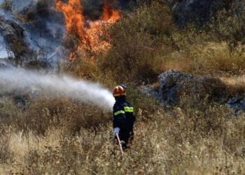 Φωτιά τώρα στο Τατόι – Νέος συναγερμός στην πυροσβεστική