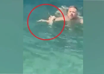 Σαλαμίνα: Μέλος πληρώματος ferry boat βούτηξε για να σώσει γατάκι που πνιγόταν(Βίντεο)