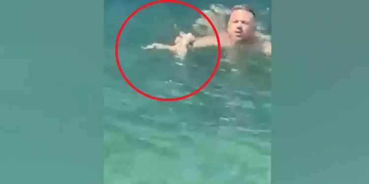 Σαλαμίνα: Μέλος πληρώματος ferry boat βούτηξε για να σώσει γατάκι που πνιγόταν(Βίντεο)