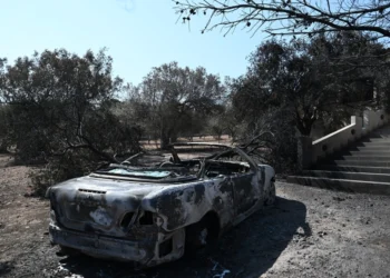 Φωτιά – Σαρωνίδα: Μετρούν τις πληγές τους από την πυρκαγιά – Δείτε βίντεο και φωτογραφίες