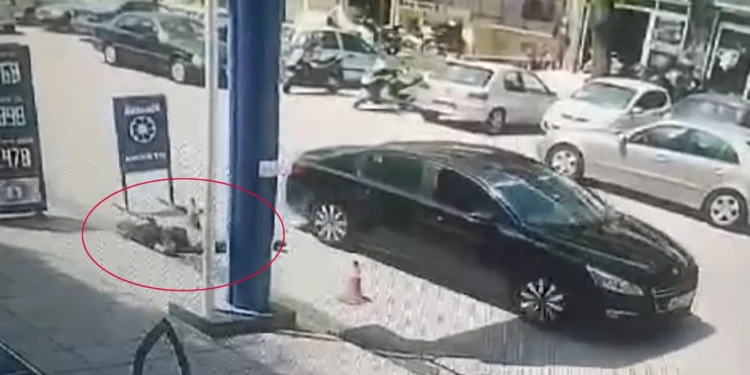 Θεσσαλονίκη: Η στιγμή που δολοφονείται ο 50χρονος μετά από καβγά – Δείτε βίντεο