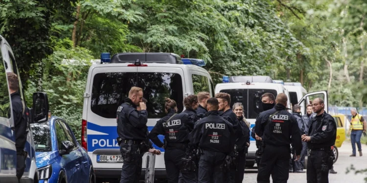 Βερολίνο: Η λέαινα που αναζητούσαν στο κέντρο της πόλης ήταν μάλλον… αγριογούρουνο