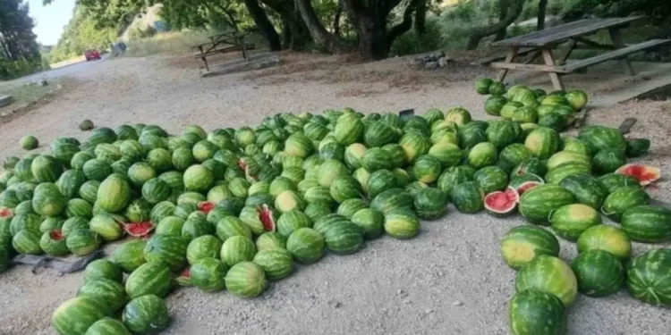 Αλεξανδρούπολη: Έκλεψε φορτηγό με καρπούζια και τα… πέταξε όλα για να «φορτώσει» μετανάστες