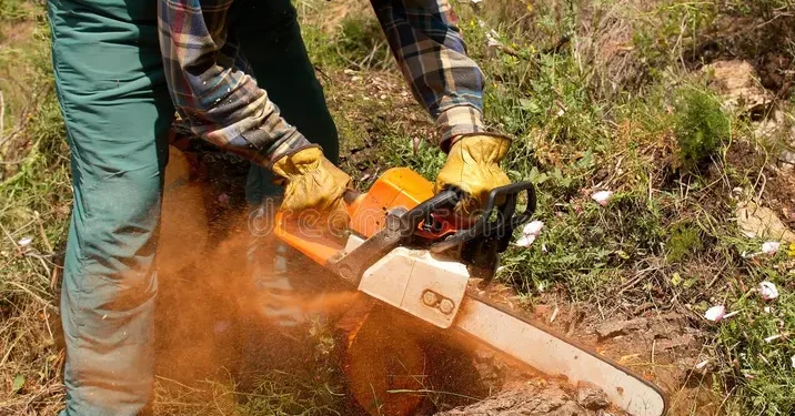 Σέρρες: Εργατικό δυστύχημα νεκρός 42χρονος – Τον καταπλάκωσε δέντρο
