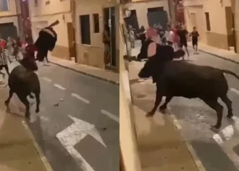 Χάος: Tαύρος ποδοπατάει και «ξεκοιλιάζει» έφηβο στη μέση του δρόμου (vid)