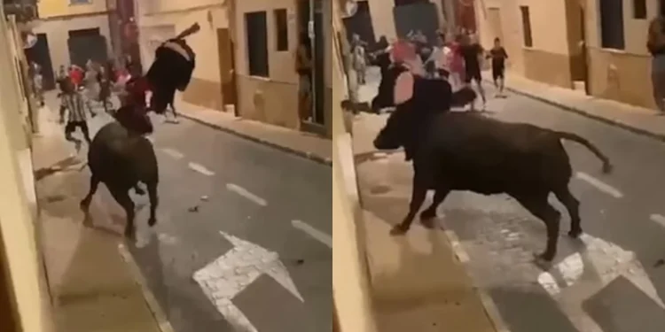 Χάος: Tαύρος ποδοπατάει και «ξεκοιλιάζει» έφηβο στη μέση του δρόμου (vid)