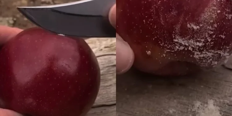 Πολυμήχανος τύπος άναψε φωτιά χρησιμοποιώντας…ένα μήλο: Το βίντεο έχει συγκεντρώσει επτά εκατομμύρια προβολές (vid)