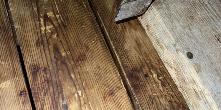 Μενίδι: «Θα σε αφήσω ανάπηρο» – Οι απειλές που οδήγησαν στους πυροβολισμούς