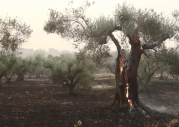 Πανηγυρίζοντας στα social media που 18 άνθρωποι κάηκαν ζωντανοί