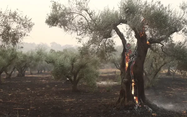 Πανηγυρίζοντας στα social media που 18 άνθρωποι κάηκαν ζωντανοί