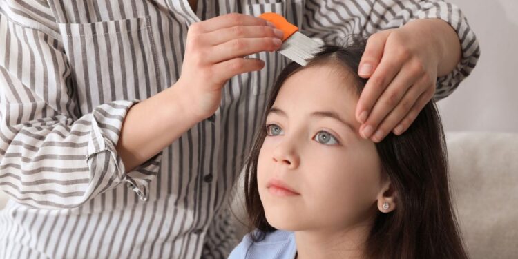 Μητέρα εξομολογείται: “Δεν βγάζω τις ψείρες από τη 7χρονη κόρη μου γιατί είμαι βίγκαν & δε σκοτώνω ζωντανά όντα”