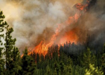 Καναδάς: Δραματική η κατάσταση από τις πυρκαγιές – Μαζικές εκκενώσεις 20.000 ανθρώπων