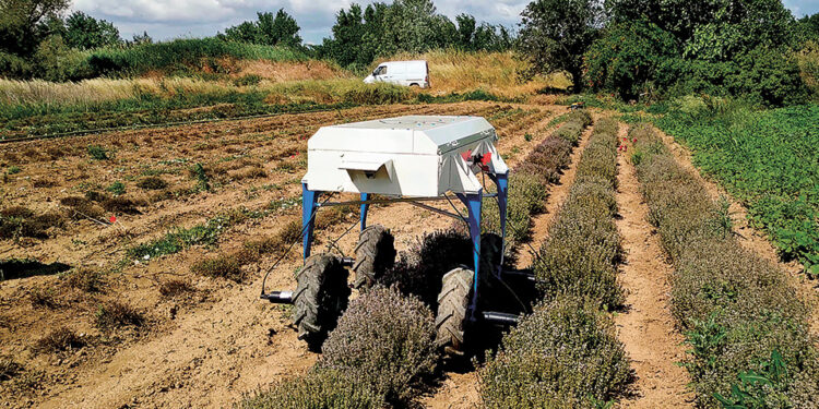 Ρομπότ – αγρότης made in Greece για τις δουλειές στα χωράφια