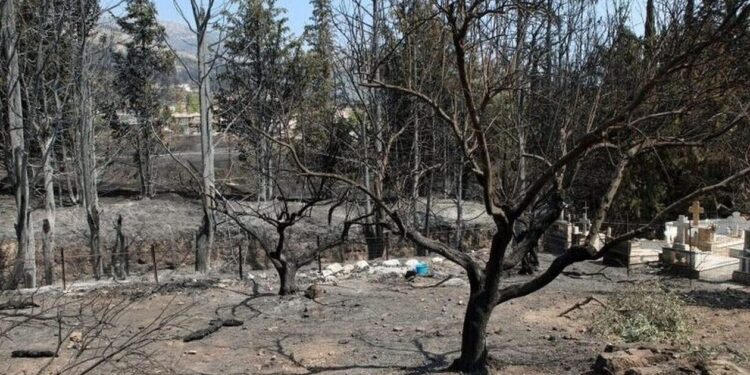 Κοινωνικός Τουρισμός: 12 δωρεάν διανυκτερεύσεις στον Έβρο, στο πλαίσιο της κρατικής αρωγής