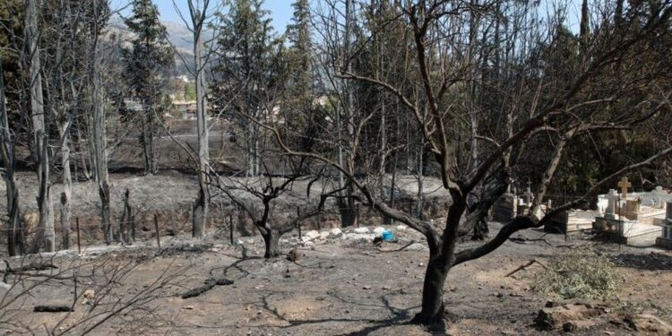 Meteo: Το παράδοξο της Ελλάδας – 52% λιγότερες μεγάλες δασικές πυρκαγιές και 195% αύξηση των καμένων