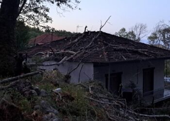 Πλάτανος καταπλάκωσε σπίτι σε χωριό των Τρικάλων (φωτο)