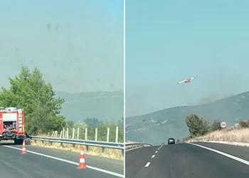 Μεγάλη φωτιά στην Αλεξανδρούπολη: Εστάλη 112 σε τέσσερις οικισμούς – Έκλεισε η Εγνατία λόγω καπνών