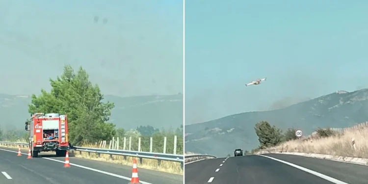 Μεγάλη φωτιά στην Αλεξανδρούπολη: Εστάλη 112 σε τέσσερις οικισμούς – Έκλεισε η Εγνατία λόγω καπνών