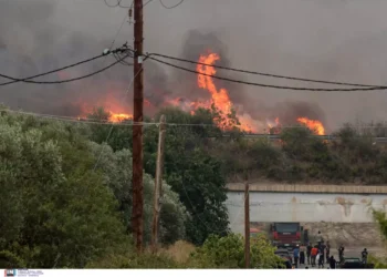 Φωτιά στην Αλεξανδούπολη: Στη δίνη της πύρινης λαίλαπας για πέμπτη ημέρα – Μάχη με διάσπαρτες εστίες