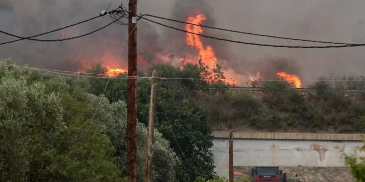 Φωτιά στην Αλεξανδούπολη: Στη δίνη της πύρινης λαίλαπας για πέμπτη ημέρα – Μάχη με διάσπαρτες εστίες