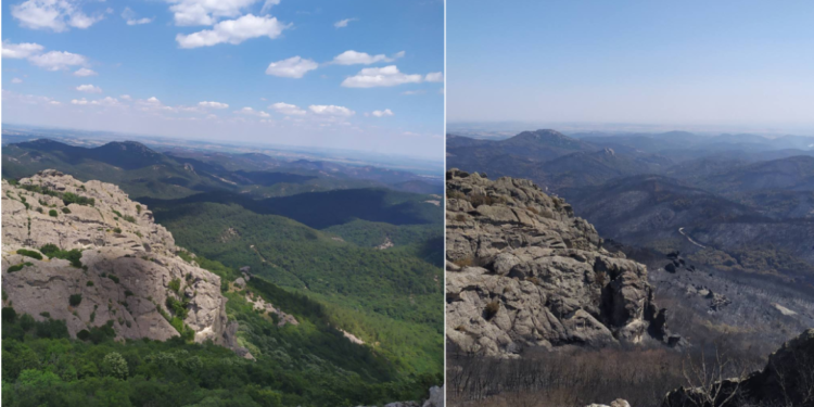Φωτιά στον Έβρο: Σοκαριστικές εικόνες από το πριν και το μετά της μεγάλης πυρκαγιάς