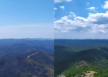 Φωτιά στον Έβρο: Σοκάρει το «πριν» και το «μετά» στο δάσος της Δαδιάς