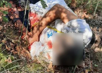 Επίθεση αρκούδας σε άνδρα στα Τρίκαλα, περιγραφή-σοκ: «Τον δάγκωσε παντού, δεν μπορούσε να αντιδράσει στη μανία της»