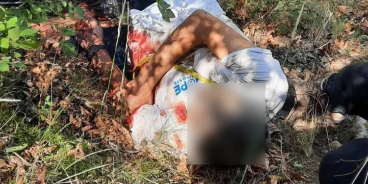 Επίθεση αρκούδας σε άνδρα στα Τρίκαλα, περιγραφή-σοκ: «Τον δάγκωσε παντού, δεν μπορούσε να αντιδράσει στη μανία της»