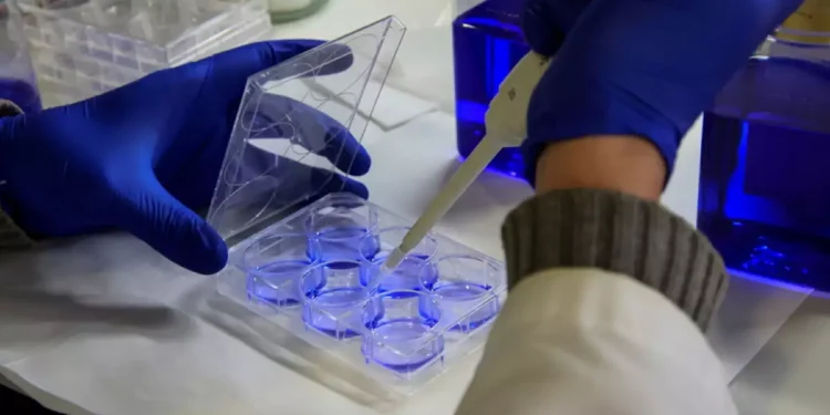 Το νέο φάρμακο για τον καρκίνο θα χρειαστεί πάνω από δύο χρόνια μελέτης – Πώς λειτουργεί