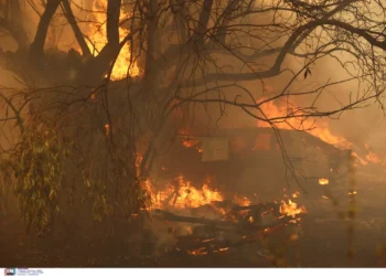 Φωτιές στην Ελλάδα: Επιπλέον βοήθεια της ΕΕ – Επίγειες και εναέριες δυνάμεις από 4 χώρες