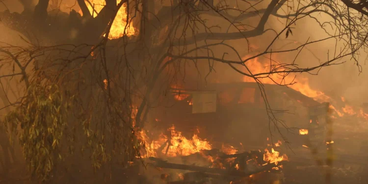 Φωτιές στην Ελλάδα: Επιπλέον βοήθεια της ΕΕ – Επίγειες και εναέριες δυνάμεις από 4 χώρες