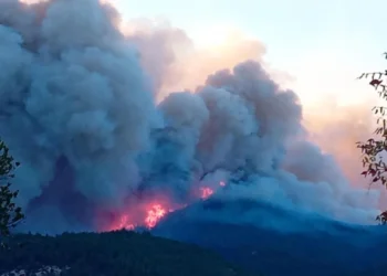 Φωτιά στον Έβρο: Εντοπίστηκαν 18 απανθρακωμένοι μετανάστες στο δάσος της Δαδιάς