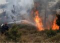 Πυρκαγιά στον Λαγκαδά Θεσσαλονίκης – Επί τόπου ισχυρή δύναμη της Πυροσβεστικής
