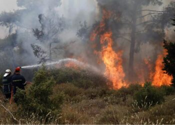 Πυρκαγιά στον Λαγκαδά Θεσσαλονίκης – Επί τόπου ισχυρή δύναμη της Πυροσβεστικής