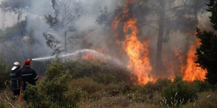 Πυρκαγιά στον Λαγκαδά Θεσσαλονίκης – Επί τόπου ισχυρή δύναμη της Πυροσβεστικής