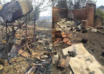 Φωτιά στην Αλεξανδρούπολη: Ανυπολόγιστες οι καταστροφές – Απανθρακώθηκαν 910 ζώα, τεράστια ζημιά σε υποδομές