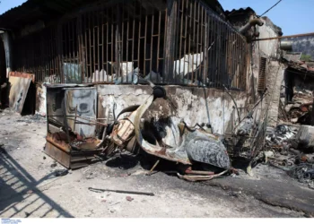 Φωτιά στην Πάρνηθα: Προσαγωγές για εμπρησμούς σε Μενίδι και Αυλώνα