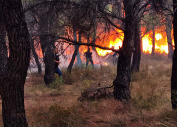 Πάρνηθα: «Έκρηξη» φωτιάς έφερε την αναζωπύρωση – Μάχη να μην περάσει στους Θρακομακεδόνες (video)
