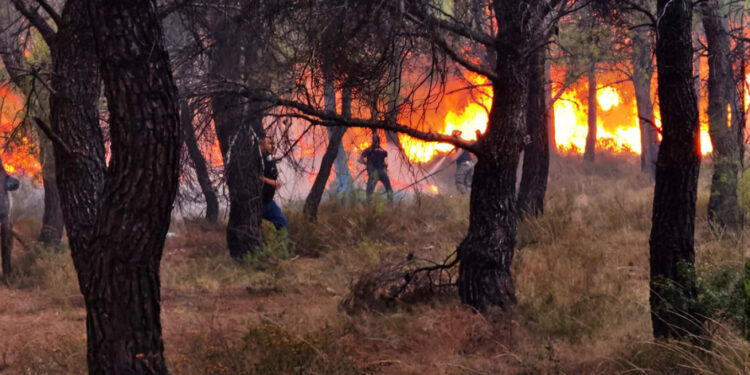 Πάρνηθα: «Έκρηξη» φωτιάς έφερε την αναζωπύρωση – Μάχη να μην περάσει στους Θρακομακεδόνες (video)