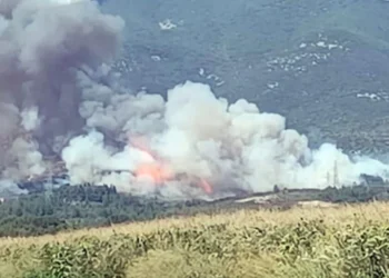 Φωτιά στο Διαλεκτό Καβάλας – Εστάλη «112» για εκκένωση